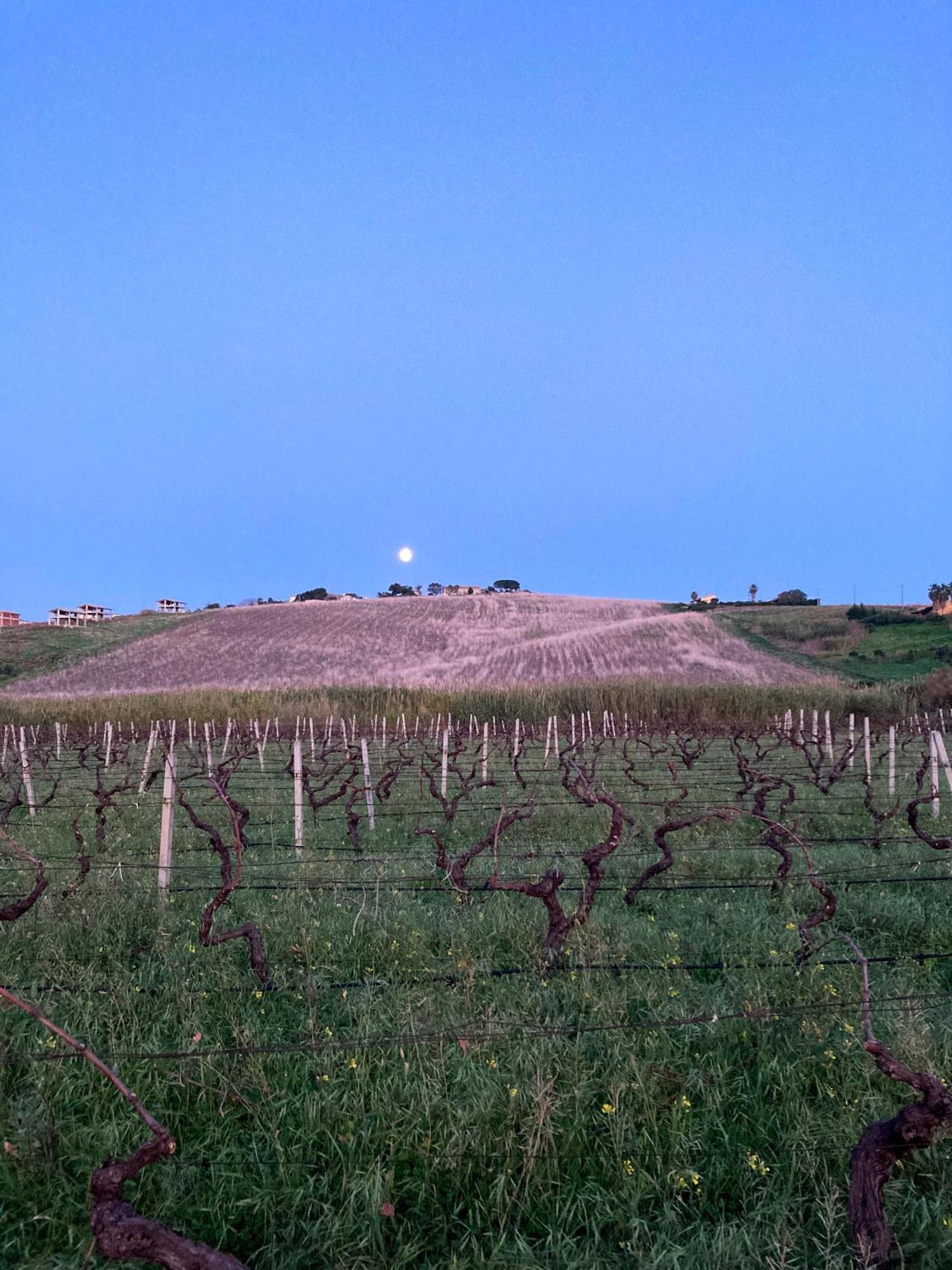 Fattoria Manostalla Villa Chiarelli Balestrate Exterior foto
